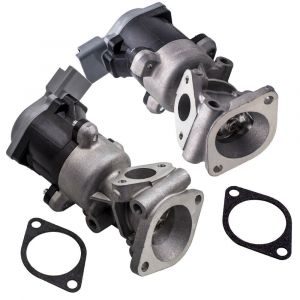 Kit de valvulas EGR 8078 y 8083 CITROEN PEUGEOT JAGUAR LAND ROVER 2.7 HDi de los dos lados 1618N6